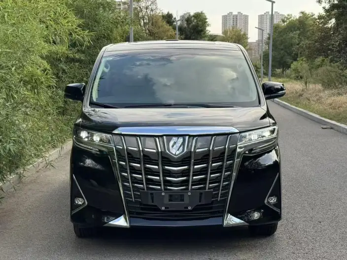 Elfa 2021 Model Hybrid 2.5L Deluxe Edition – фото 2