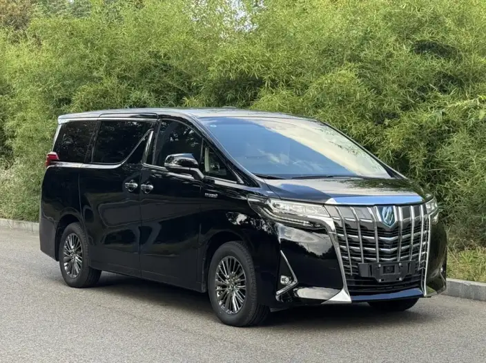 Elfa 2021 Model Hybrid 2.5L Deluxe Edition – фото 3