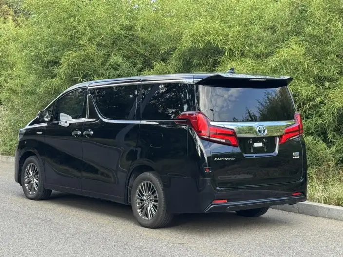 Elfa 2021 Model Hybrid 2.5L Deluxe Edition – фото 4