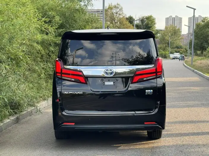 Elfa 2021 Model Hybrid 2.5L Deluxe Edition – фото 5