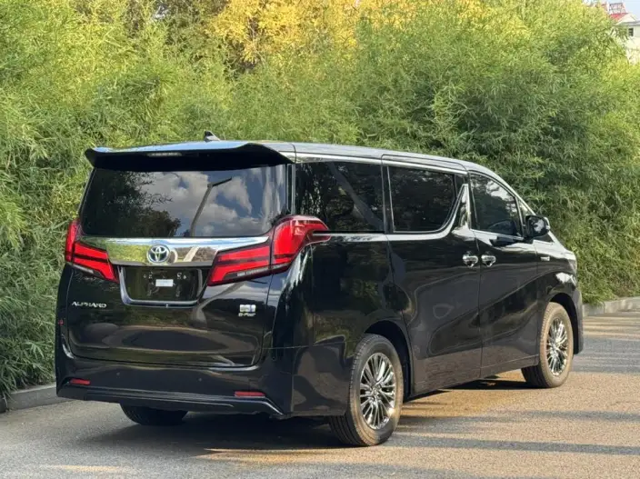 Elfa 2021 Model Hybrid 2.5L Deluxe Edition – фото 6