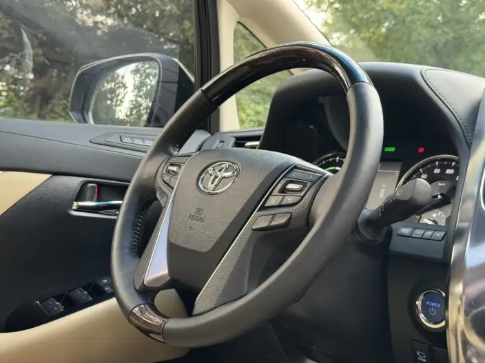 Elfa 2021 Model Hybrid 2.5L Deluxe Edition – фото 10