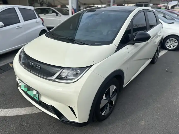 BYD Dolphin 2023 Model Fashion Edition