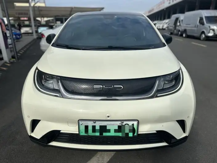 BYD Dolphin 2023 Model Fashion Edition
