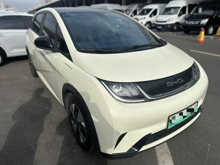 BYD Dolphin 2023 Model Fashion Edition