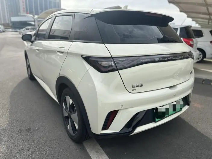 BYD Dolphin 2023 Model Fashion Edition