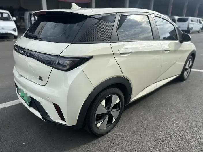 BYD Dolphin 2023 Model Fashion Edition – фото 6