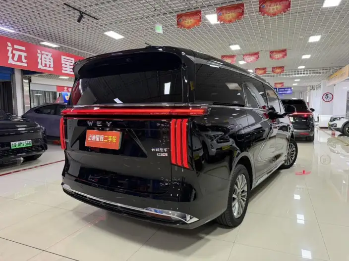 Wey Gaoshan P HEV 2025 Model 4WD Wey Gaoshan 8 – фото 5