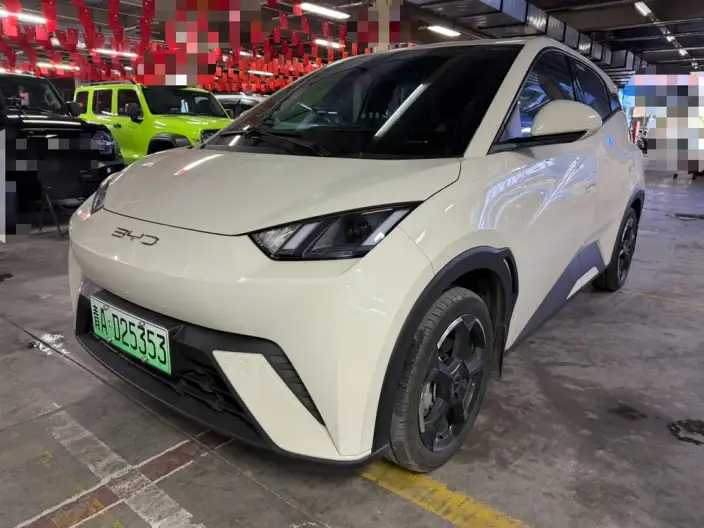 BYD Seagull 2023 Model Feixiang Edition