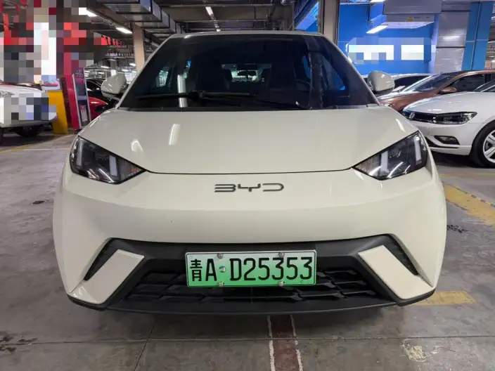 BYD Seagull 2023 Model Feixiang Edition