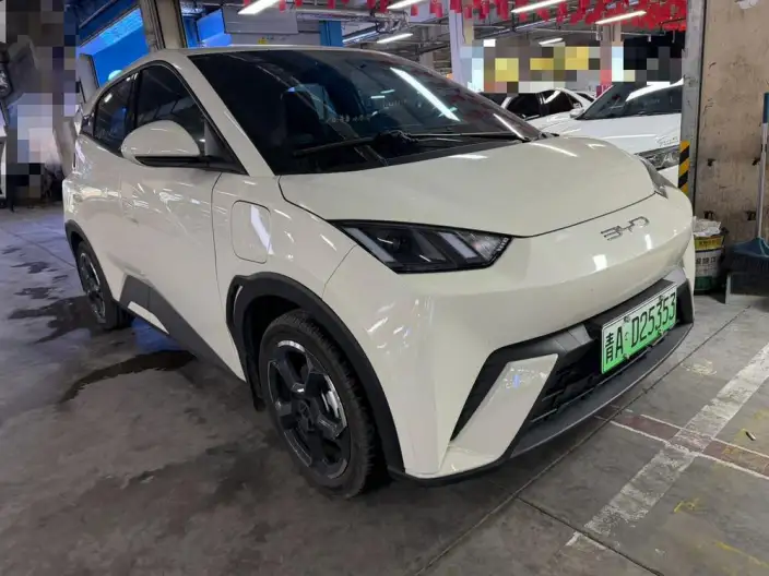 BYD Seagull 2023 Model Feixiang Edition