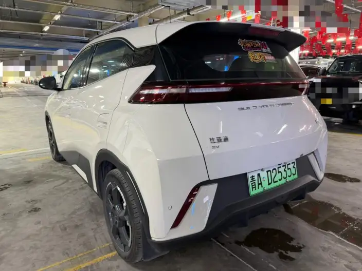 BYD Seagull 2023 Model Feixiang Edition