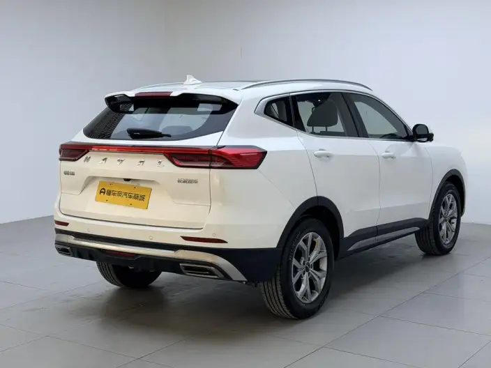 Haval H6 2021 Model Guo Trendy Edition 1.5T Automatic Champion Edition – фото 7