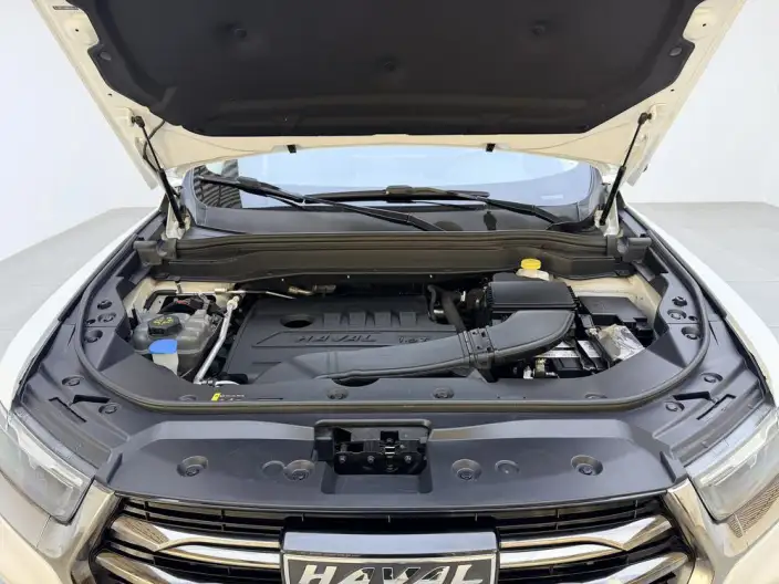 Haval H6 2021 Model Guo Trendy Edition 1.5T Automatic Champion Edition – фото 10