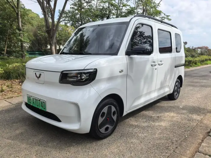 WULING Sunshine EV 2025 Model Enterprising Model