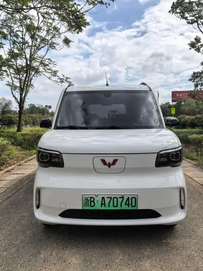 WULING Sunshine EV 2025 Model Enterprising Model