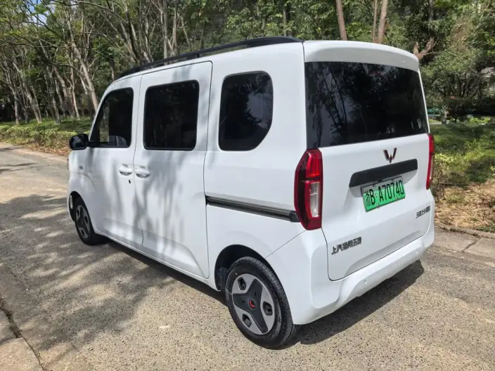 WULING Sunshine EV 2025 Model Enterprising Model