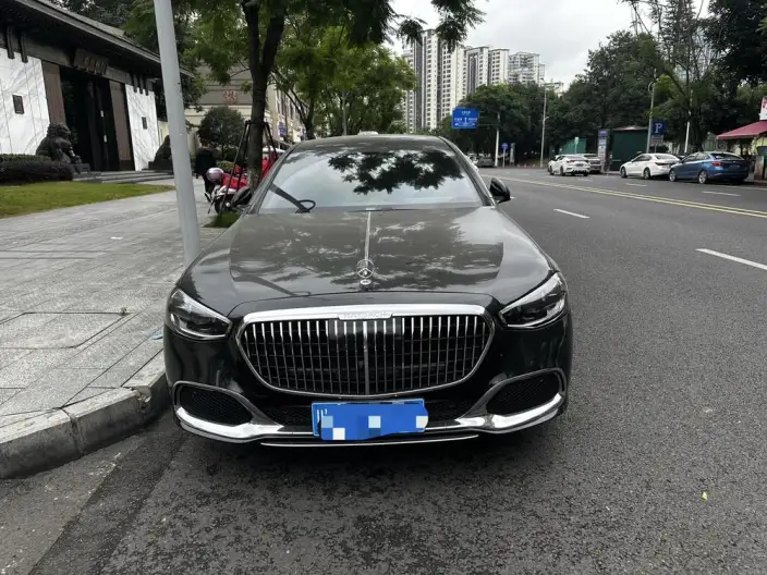 Mercedes-Maybach S-Class 2022 Model S 480 4MATIC Zhizhen Special Edition – фото 2