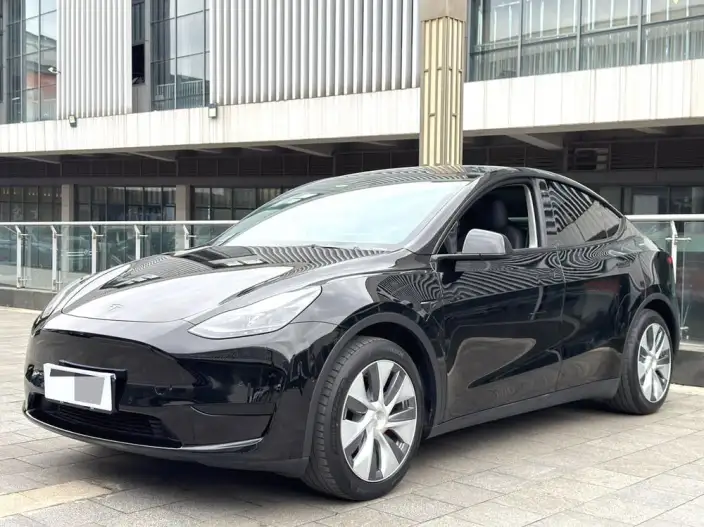 Model Y 2022 Model Rear-wheel drive version – фото 1