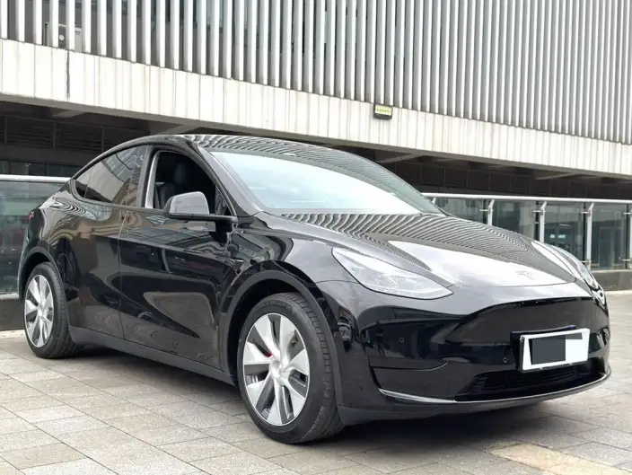 Model Y 2022 Model Rear-wheel drive version – фото 3