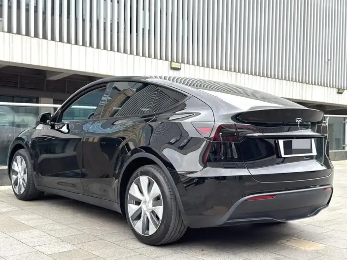 Model Y 2022 Model Rear-wheel drive version – фото 4