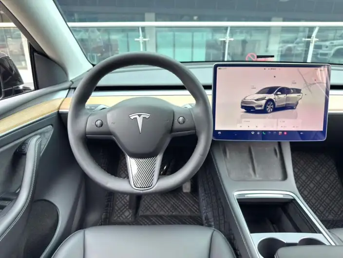 Model Y 2022 Model Rear-wheel drive version – фото 9