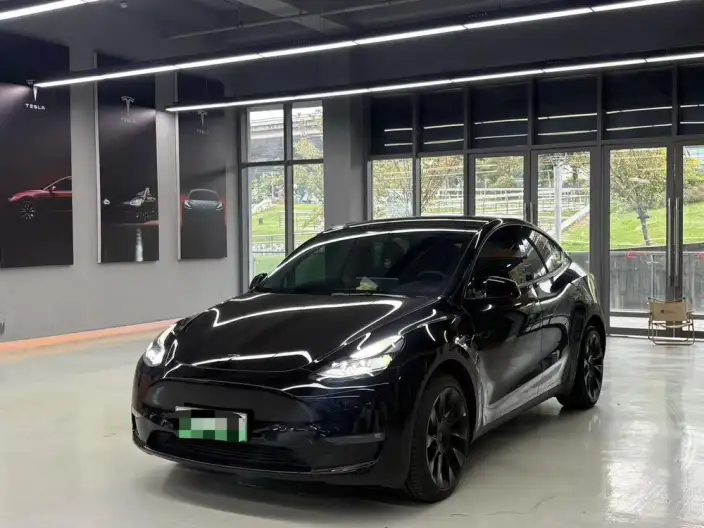 Model Y 2022 Model Rear-wheel drive version – фото 1