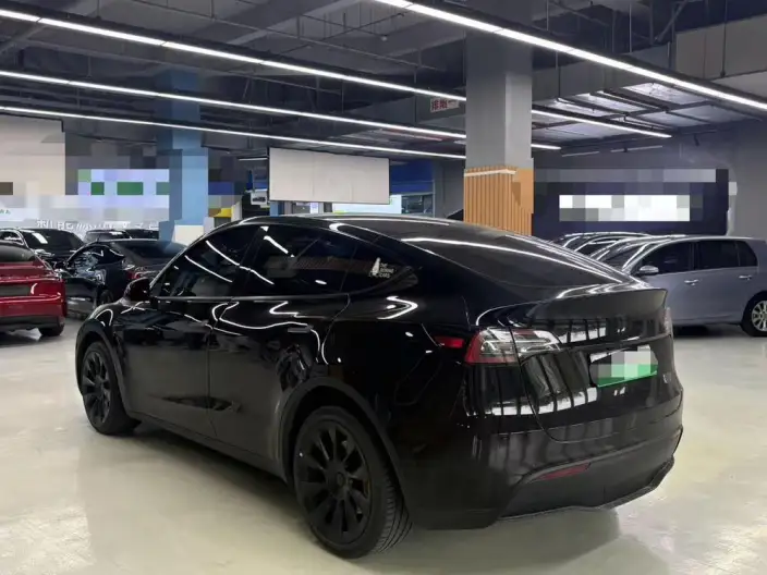 Model Y 2022 Model Rear-wheel drive version – фото 4