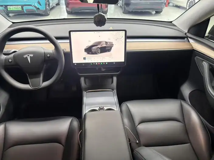 Model Y 2022 Model Rear-wheel drive version – фото 6