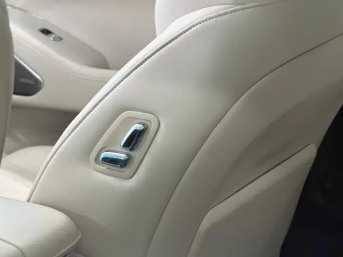 Wey Blue Mountain 2025 Model 4WD Max – фото 8