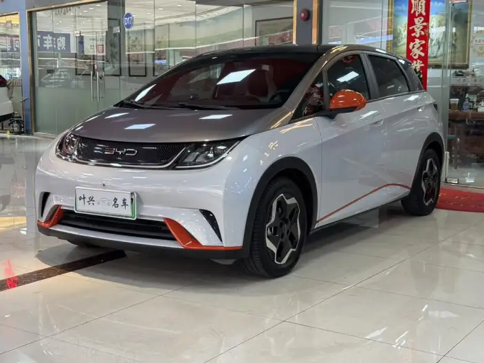 BYD Dolphin 2021 Model Fashion Edition – фото 1