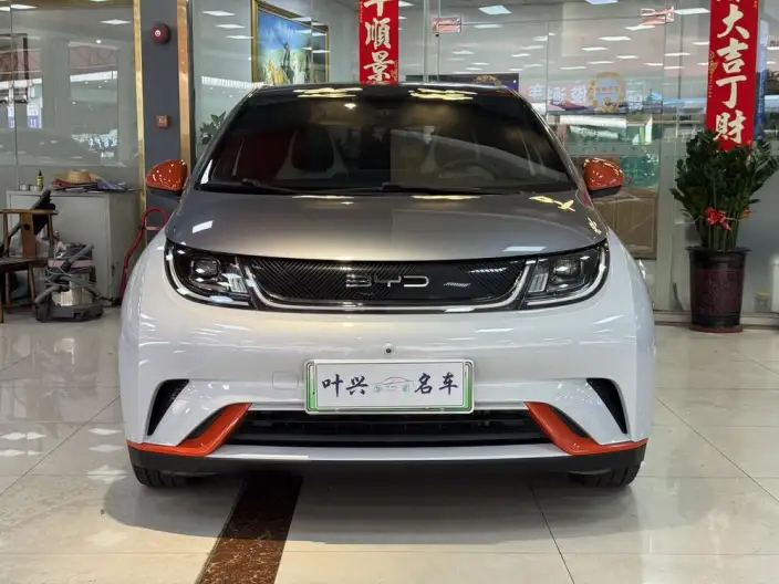 BYD Dolphin 2021 Model Fashion Edition – фото 2