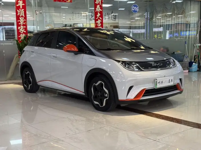 BYD Dolphin 2021 Model Fashion Edition – фото 3