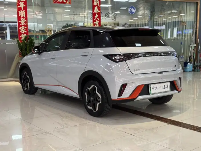BYD Dolphin 2021 Model Fashion Edition – фото 4