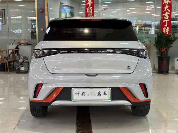 BYD Dolphin 2021 Model Fashion Edition – фото 5