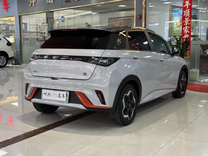 BYD Dolphin 2021 Model Fashion Edition – фото 6