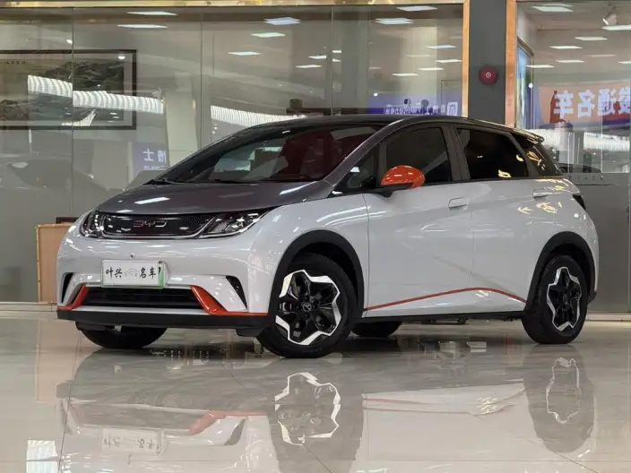 BYD Dolphin 2021 Model Fashion Edition – фото 9