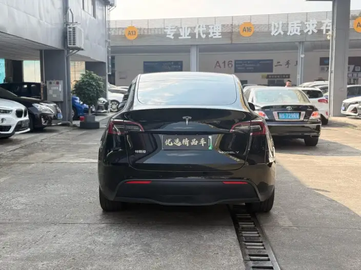 Model Y 2022 Model Rear-wheel drive version – фото 6