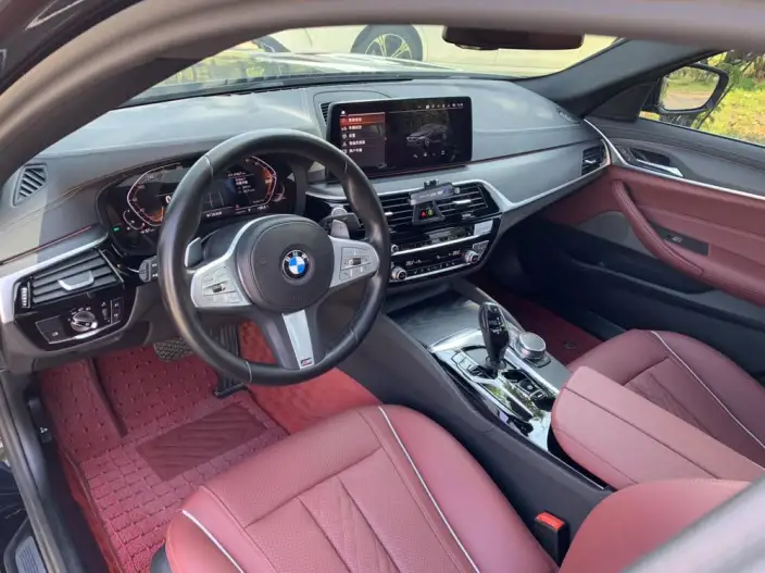 BMW 5 Series 2023 Model 530Li Leading Model M Sports Set – фото 10