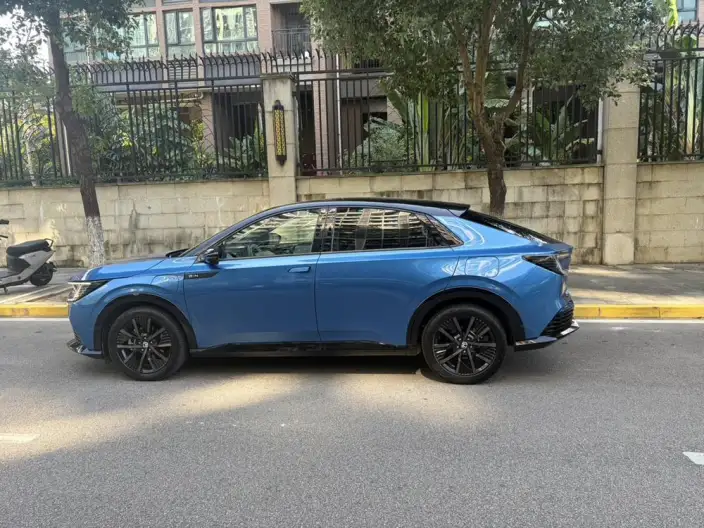 e:NP2 2024 Model Advanced version