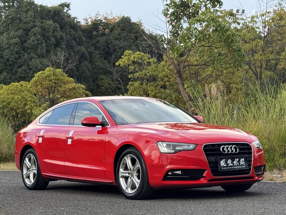 Audi A5 2014 модификация Sportback 45 TFSI – фото 3