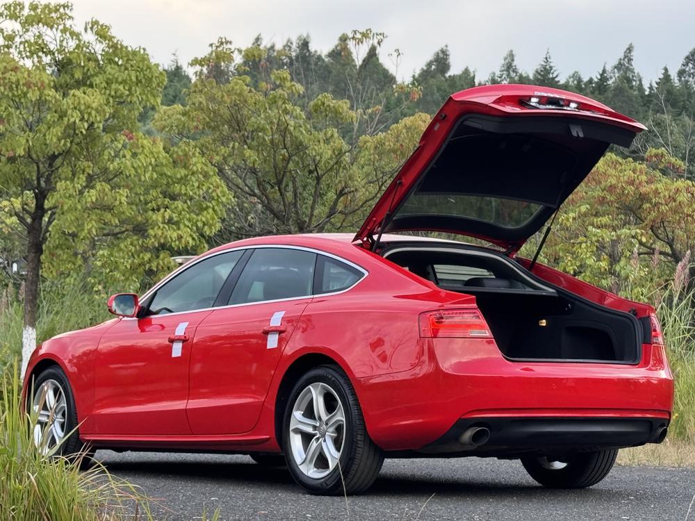 Audi A5 2014 модификация Sportback 45 TFSI – фото 4
