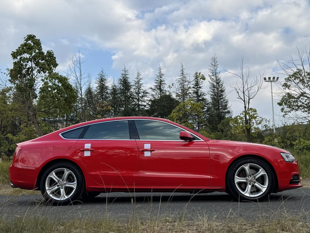 Audi A5 2014 модификация Sportback 45 TFSI – фото 7