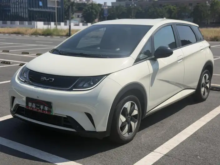 BYD Dolphin 2025 Model 420KM Free Edition – фото 1