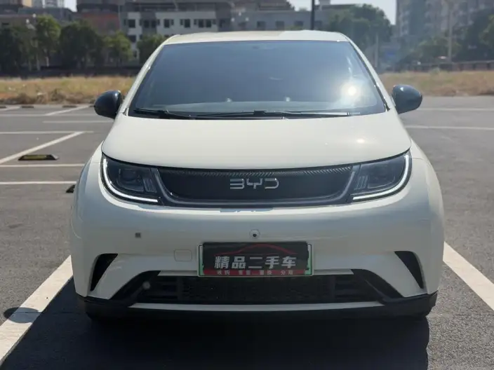 BYD Dolphin 2025 Model 420KM Free Edition – фото 2