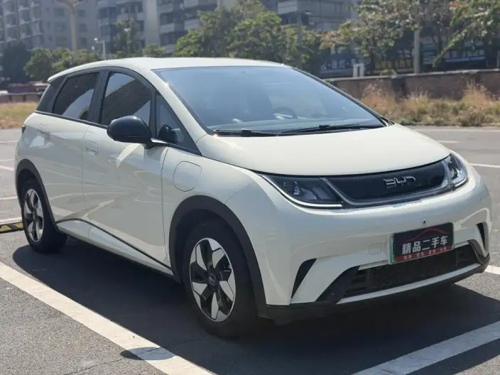 BYD Dolphin 2025 Model 420KM Free Edition – фото 3
