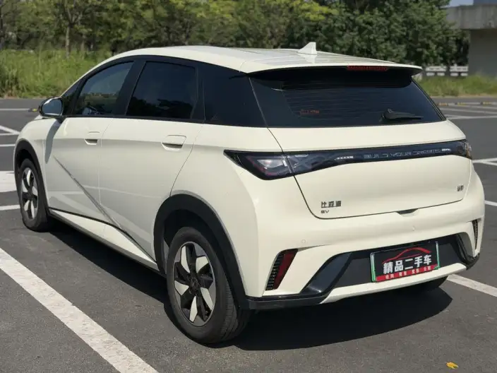 BYD Dolphin 2025 Model 420KM Free Edition – фото 4