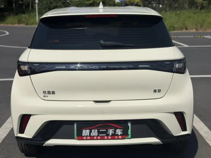 BYD Dolphin 2025 Model 420KM Free Edition – фото 5