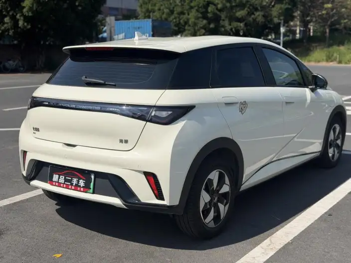 BYD Dolphin 2025 Model 420KM Free Edition – фото 6
