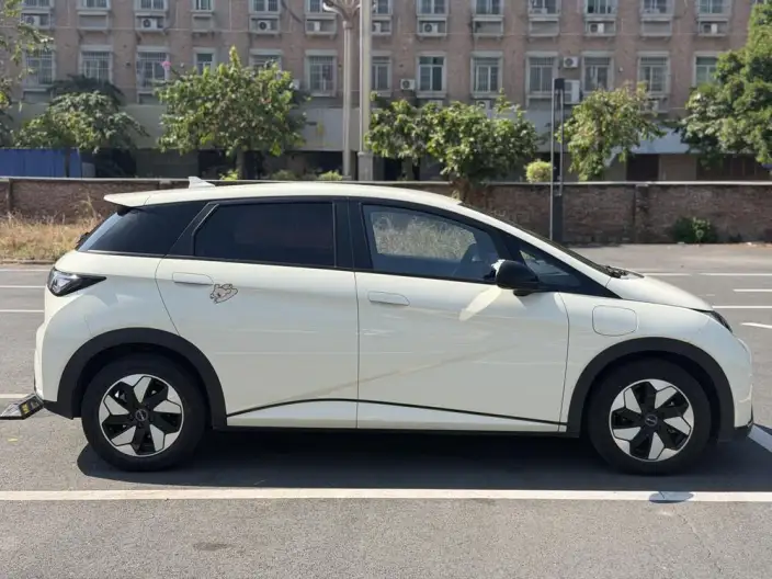 BYD Dolphin 2025 Model 420KM Free Edition – фото 7